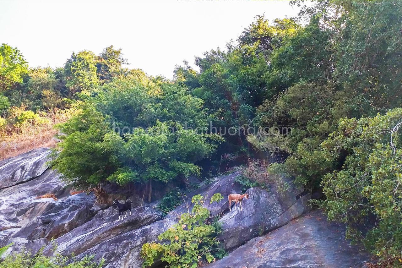 Hiep Tung Homestay Tân Hiệ Exterior foto